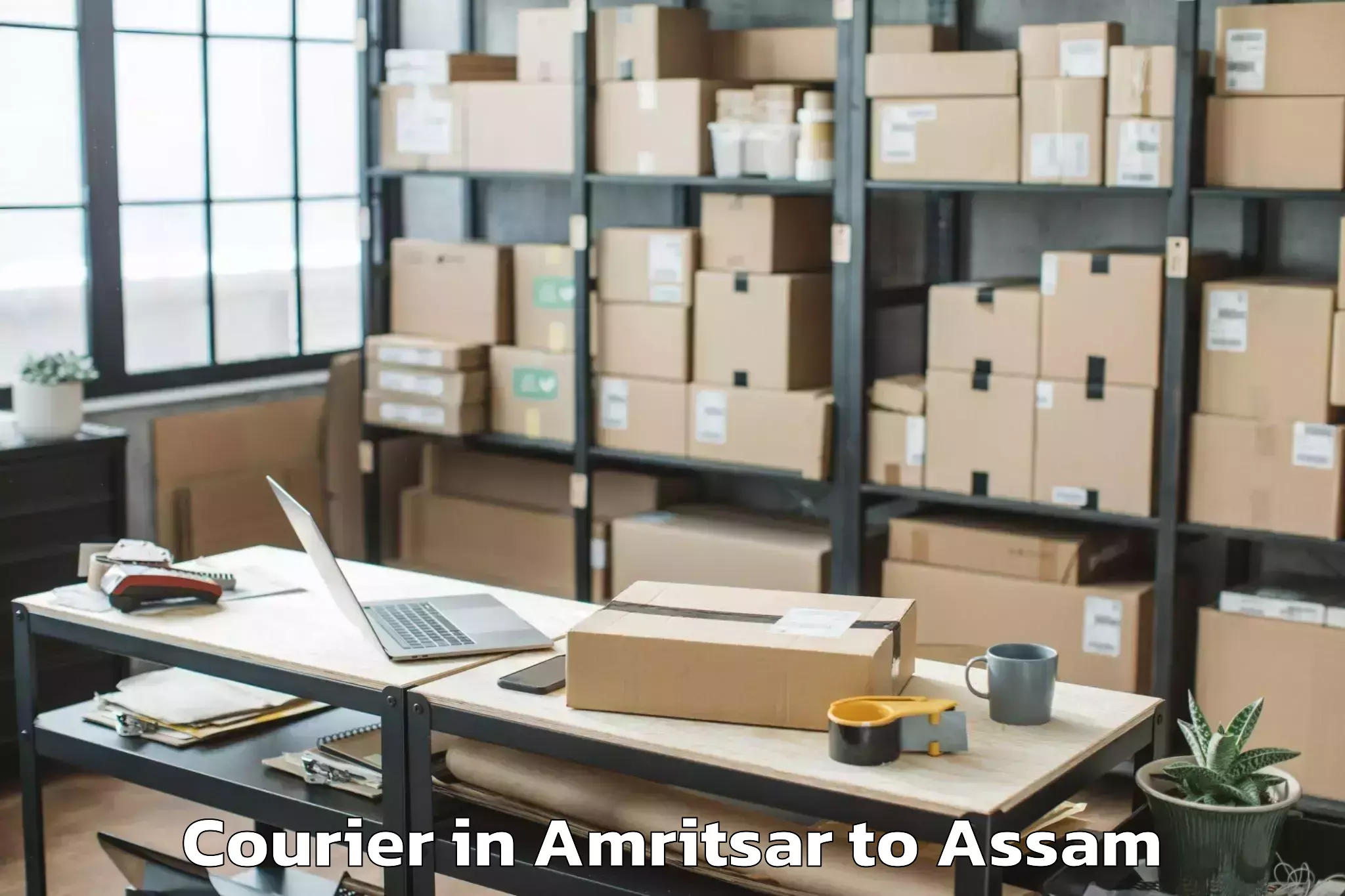 Affordable Amritsar to Hojai Courier